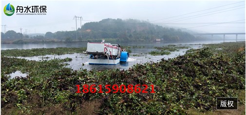 江西省現場打撈船水葫蘆工作視頻