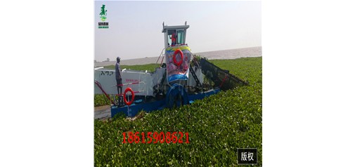 煙臺蘆葦收割船