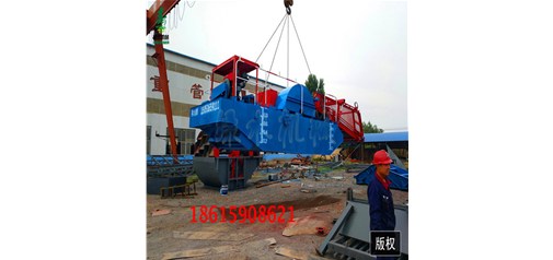 湖南懷化小型水葫蘆收割船