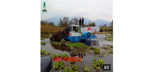 小型水草打撈船發往湖南